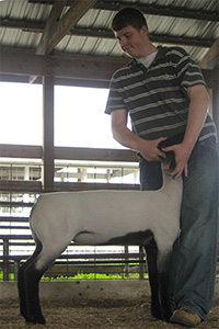 Reserve Suffolk WCLA Preview